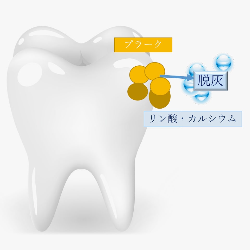 再石灰化を促す